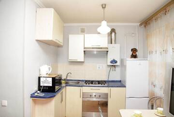 Фотографии Апартаменты Apartment Pushkina г. Днепр (Украина) №3 Фото Апартаменты Apartment Pushkina г. Днепр 3