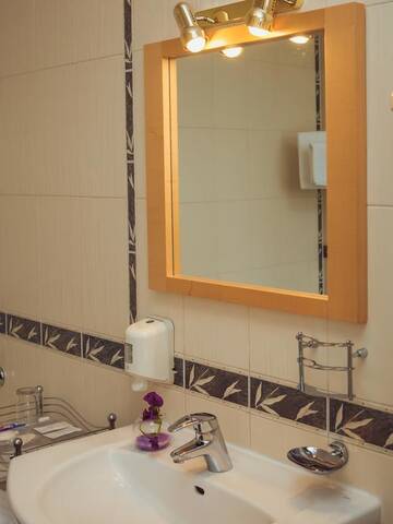 Фото номера Люкс Мини-отель Hotel Diana г. Днепр 11