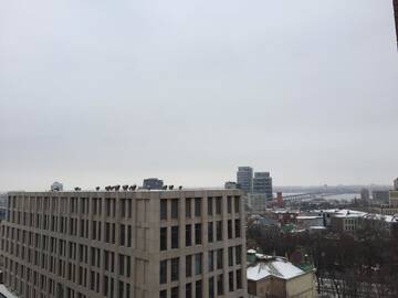 Фото номера Апартаменты с 3 спальнями Апартаменты Lux 3-bedroom apartment in Most City area г. Днепр 37